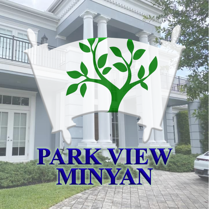 Team Park View Minyan